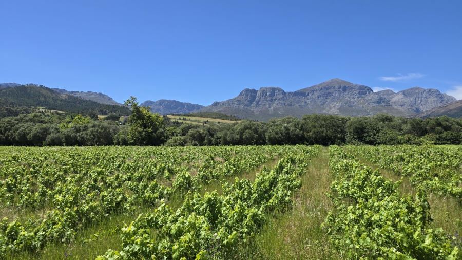 Commercial Property for Sale in Wellington Rural Western Cape
